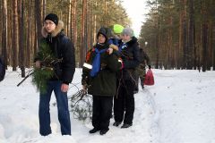 Изображение галереи 